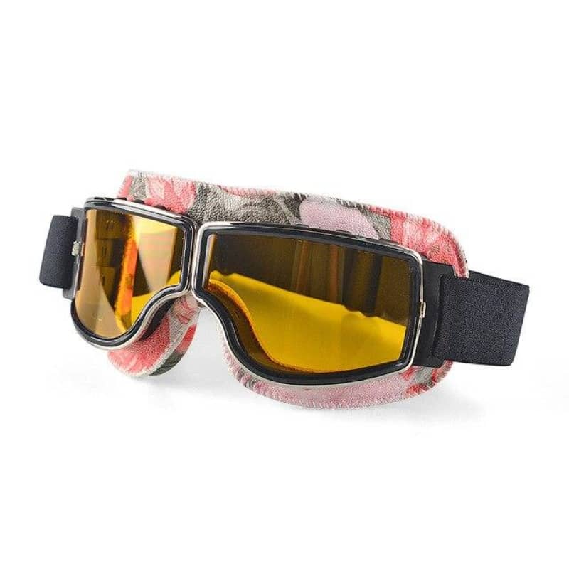 Motorcycle Goggles Inel