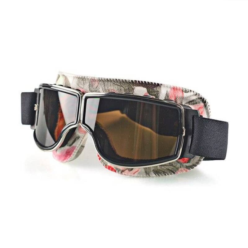 Motorcycle Goggles Inel